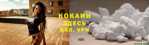 а пвп мука Абаза