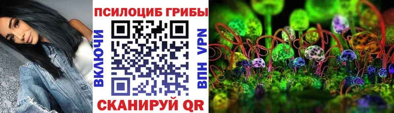 Галлюциногенные грибы прущие грибы  закладки  блэк спрут маркетплейс  Княгинино 